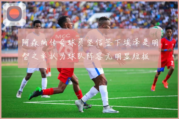 阿森纳传奇球员坚信签下埃泽是明智之举认为球队阵容无明显短板
