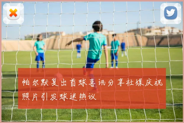 帕尔默复出首球喜讯分享社媒庆祝照片引发球迷热议