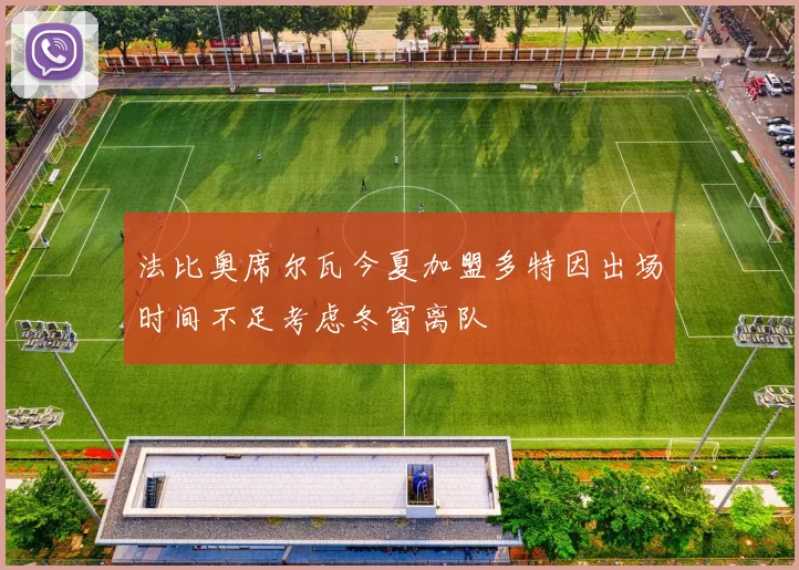 法比奥席尔瓦今夏加盟多特因出场时间不足考虑冬窗离队