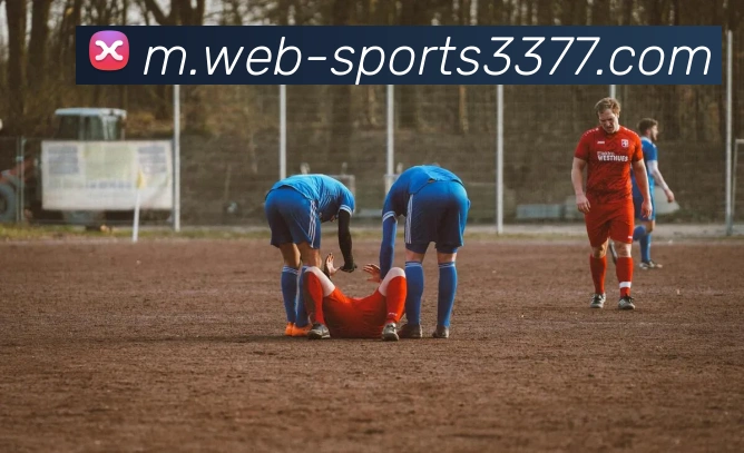 3377体育平台生态图